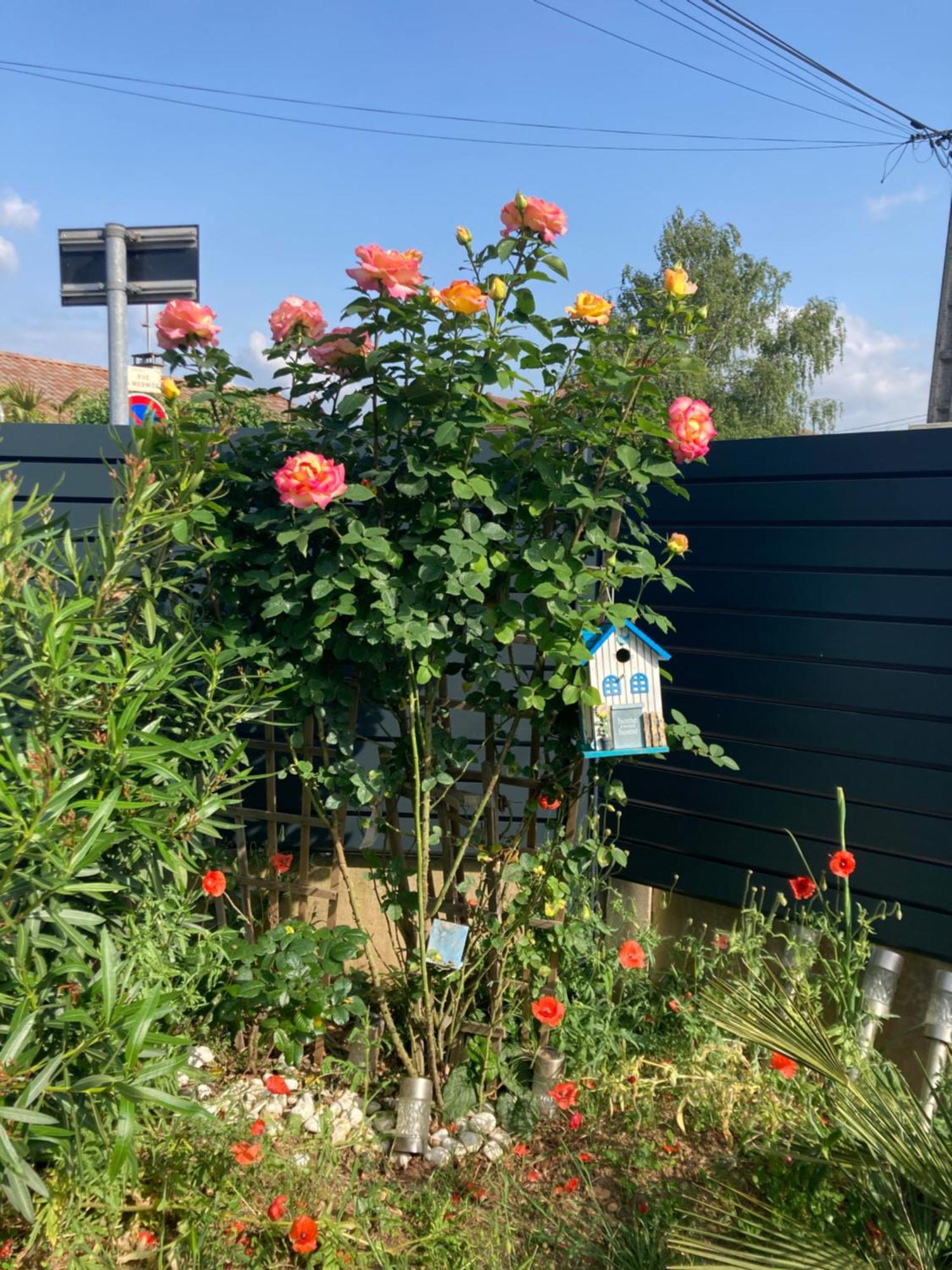 Appartement Au Calme Dans Maison En Rez De Jardin A 2,2 Kms Du Groupama Stadium Et Salle Ldlc Arena
