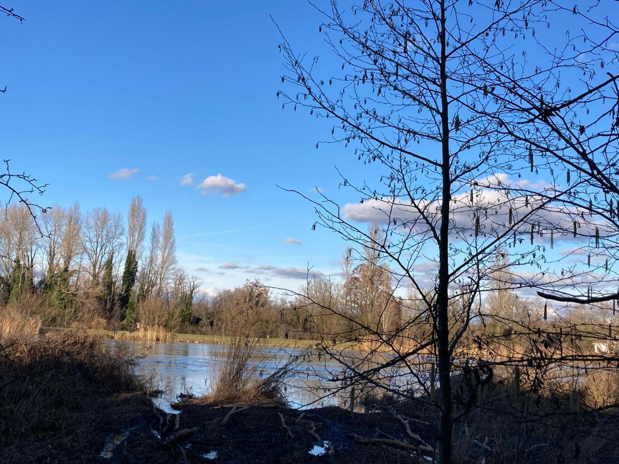 Au Calme Dans Maison En Rez De Jardin A 2,2 Kms Du Groupama Stadium Et Salle Ldlc Arena *
